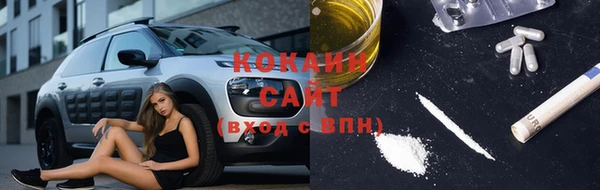 Альфа ПВП Инсар