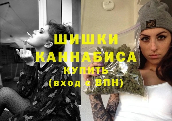 Альфа ПВП Инсар