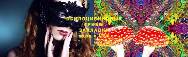 Альфа ПВП Инсар