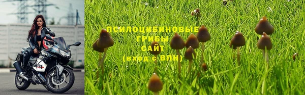 а пвп мука Зеленодольск