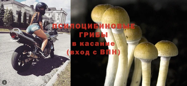 СК Чегем