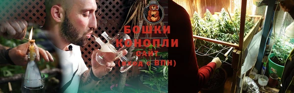 Альфа ПВП Инсар
