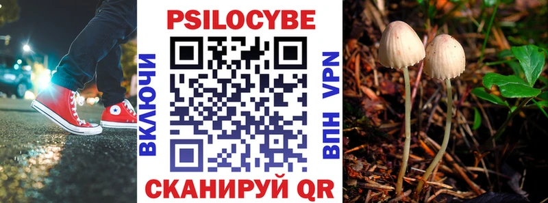 купить   Костерёво  Псилоцибиновые грибы Psilocybine cubensis 